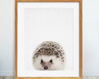 Hedgehog Print, Woodlands Nursery Wall Art, Wild Animals Poster, Woodlands Animal Print, Forest Animal, Kids Room Decor, Printable Art