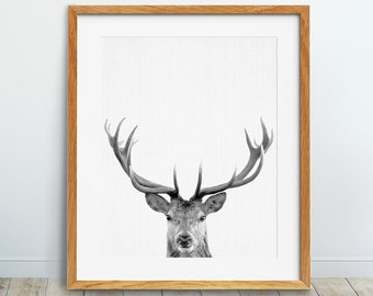 Estampado De Ciervos, Decoración De Bosques, Arte De Pared De Vivero, Animal Print, Blanco Y Negro, Estampado De Astas De Ciervo, Cabeza De Ciervo, Decoración De Pared De Casa, Imprimible