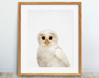 White Baby Owl, Nursery Wall Art, Woodland Nursery Decor, Baby Owl Poster, Nursery Animals, Polar Owl, Kids Room Decor Digital Printable Art