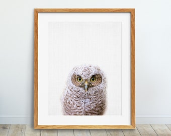 Owl Print, Nursery Wall Art, Woodland Nursery Decor, Baby Owl Print, Nursery Animals Print, Owl Bird Poster, Kids Room Digital Printable Art