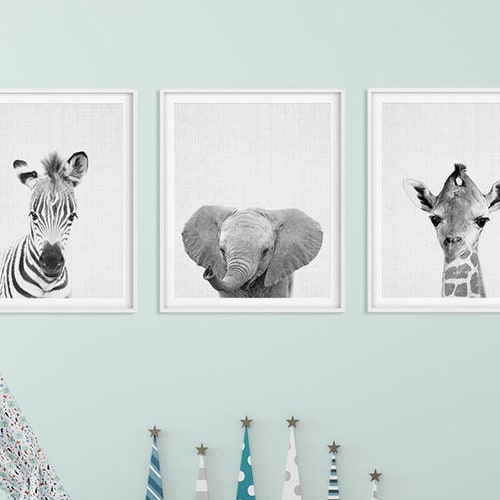 Safari Nursery Decor Baby Animals Set 3 Zebra Elephant Etsy