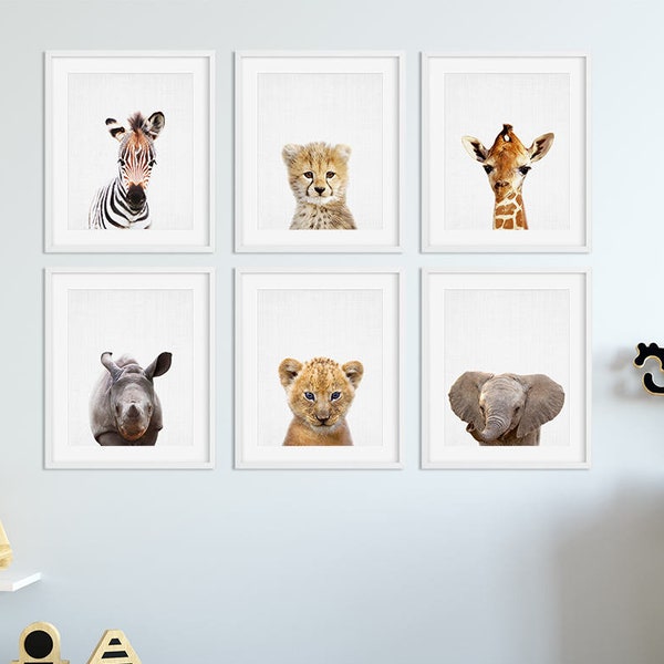 Safari Animals Prints, Set of 6 Prints, Nursery Decor, Nursery Wall Art, Baby Animal Art, For Nursery, Baby Animal Prints, Baby Shower Gift