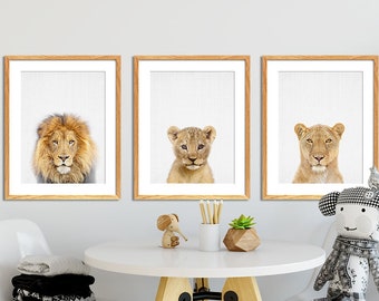Safari Nursery Wall Art,  Animals Nursery Set 3, Lion Baby Lion Lioness , Safari Animals Poster, Lions Family, Kids Room Decor Printable Art