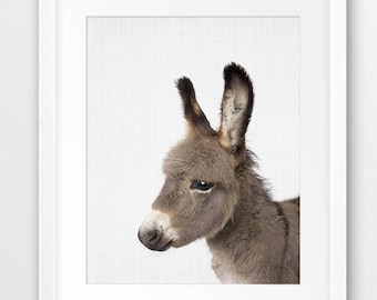 Donkey Print, Nursery Wall Art, Farm Animal Poster, Baby Donkey, Domestic Animal, Foal, Nursery Decor, Kids Room Decor Digital Printable Art