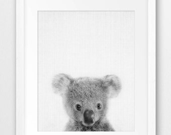 Koala Print, Nursery Wall Art, Baby Koala Bear Poster, Baby Animals, Australian Animals, Black White Kids Room Decor, Digital Printable Art
