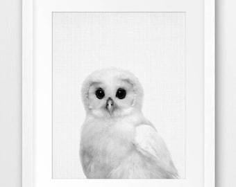 White Baby Owl, Nursery Wall Art, Black And White Woodland Nursery Decor, Baby Owl Poster, Polar Owl, Kids Room Decor, Digital Printable Art