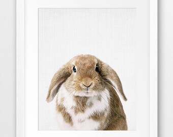 Bunny Print, Nursery Animal Wall Art, Cute Bunny Print, Nursery Decor, Rabbit Poster, Baby Animals Print, Kids Room Decor, Printable Art