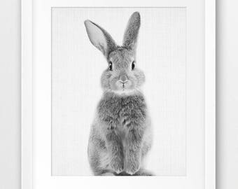 Rabbit Print, Nursery Animal Wall Art, Woodlands Animals Print, Cute Bunny Print, Black And White Photo, Kids Room Decor, Printable Art