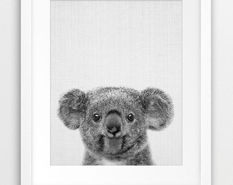 Impresión de koala, arte de la pared de la guardería, decoración de la habitación de los niños, impresión del oso koala, animal de la guardería blanco negro, animal australiano, regalo del bebé, arte imprimible