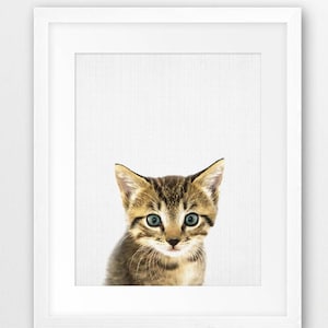 Kitten Print, Nursery Wall Art, Cute Cat, Nursery Decor, Animal Photo, Baby Animals, Domestic Animal, Kids Room Decor, Digital Printable Art