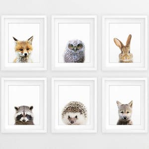 Animals Nursery Decor, Baby Animals Set of 6, Bunny Fox Wolf, Nursery Prints Modern Animal Art, Cute Animals, Kids Room Decor, Printable Art