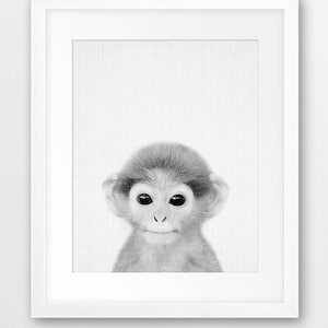 Monkey Print, Safari Animals Decor, Black White Nursery Animal Wall Art, Baby Monkey Poster, Jungle Animals, Kids Room Decor, Printable Art