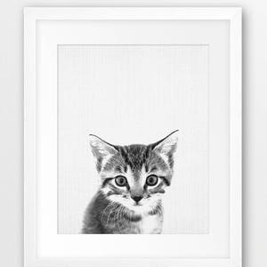 Kitten Print, Nursery Wall Art, Cute Cat, Nursery Decor, Animal Photo, Black White, Domestic Animal, Kids Room Decor, Digital Printable Art