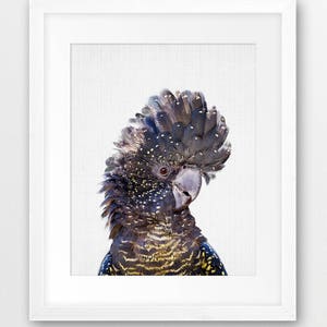 Parrot Print, Nursery Wall Art, Black Cockatoo Print, Tropical Decor, Australian Animals Prints, Kids Room Decor, Digital Printable Art