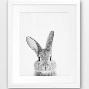 Rabbit Print, Nursery Animal Wall Art, Woodland Animals Poster, Black White Animals Prints, Bunny Print, Kids Room Decor, Digital Printable image 4