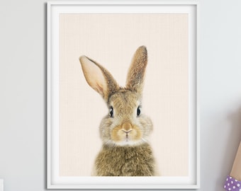 Rabbit Print, Nursery Animal Wall Art, Woodlands Animals Print, Forest Animals, Bunny Poster, Baby Animals Prints, Kids Room Decor Printable