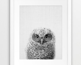 Owl Print, Woodland Nursery Decor, Baby Owl Print, Black And White Animal Print, Nursery Wall Art, Owl Photo, Kids Room Decor, Printable Art