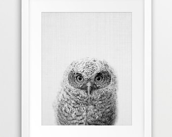 Owl Print, Woodland Nursery Decor, Baby Owl Print, Black And White Animal Print, Nursery Wall Art, Owl Photo, Kids Room Decor, Printable Art