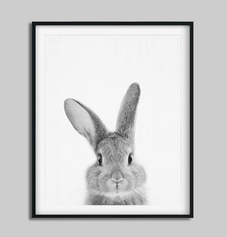 Rabbit Print, Nursery Animal Wall Art, Woodland Animals Poster, Black White Animals Prints, Bunny Print, Kids Room Decor, Digital Printable image 3