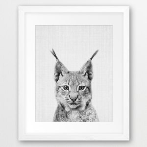 ボブキャットリンクスプリント、森の動物ウォールアート、保育園の装飾、かわいい赤ちゃん動物、白黒写真、森の動物、子供部屋用印刷可能アート