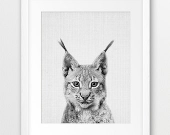 Bobcat Lynx Print, Woodlands Animal Wall Art, Nursery Decor, Cute Baby Animal, Black And White Photo, Forest Animal, Kids Room Printable Art
