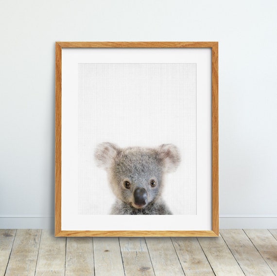 Koala Print, Nursery Wall Art, Baby Koala Bear Poster, Baby Animals Print, Australian Animals, Kids Room Decor, Digital Printable Art