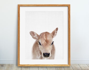 Calf Print, Baby Cow, Nursery Animal Wall Art, Baby Animal Print, Little Calf , Nursery Farm Animals, Kids Room Decor, Digital Printable Art