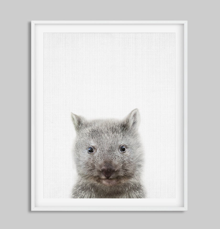Australian Animals Print, Baby Animals Set of 4, Nursery Wall Art, Baby ...