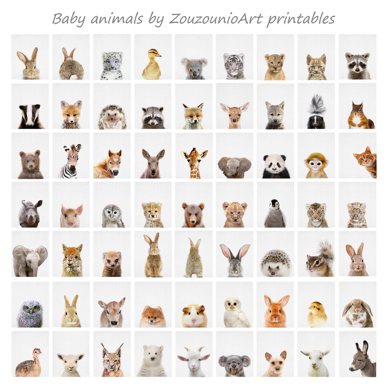 May include: A grid of 48 images featuring baby animals, including a rabbit, a fox, a zebra, a giraffe, a panda, a penguin, a cheetah, a bear, an owl, a hedgehog, a squirrel, a chick, a goat, a koala, and a lynx. The images are all in a white background.