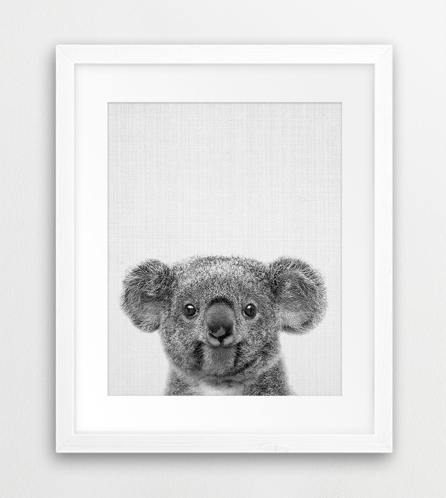 cute animal Koala cub Wall Art Print Poster watercolor painting JPG Printable Art kids decor baby animal print Watercolor Digital Wall Art