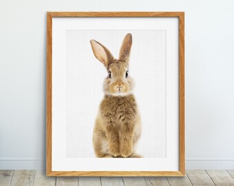 Rabbit Print, Nursery Animals Wall Art, Baby Room Prints, Woodlands Animals Print, Bunny Poster, Baby Animals, Kids Room Decor Printable Art