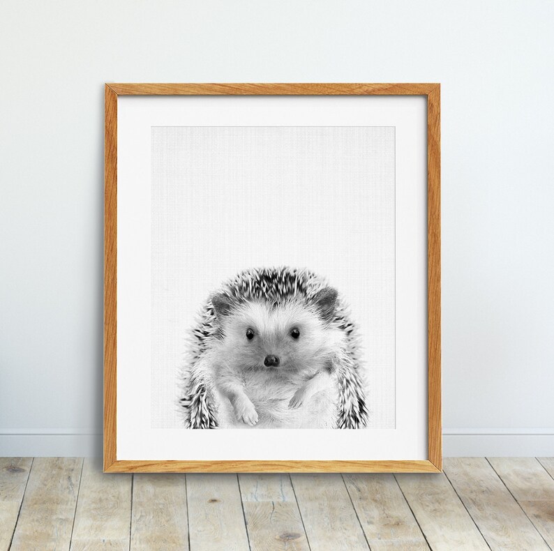 May include: Black and white illustration of a hedgehog with a cute expression. The hedgehog is curled up in a ball, with its spines visible. The background is white.