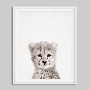 May include: A black and white photograph of a cheetah cub with a soft, fuzzy coat. The cub is looking directly at the camera with big, dark eyes.