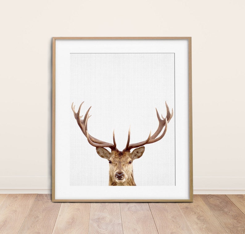 Deer Print Woodlands Decor Nursery Animals Wall Art - Etsy