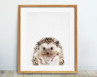 Hedgehog Print, Woodland Animal Wall Art, Nursery Decor, Peekaboo Animal, Baby Room Art Print, Poster, Digital Download Printable Art