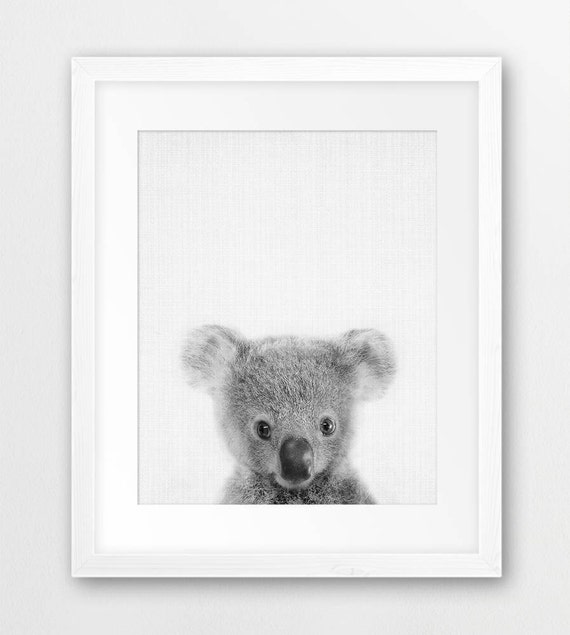 Koala Print, Nursery Wall Art, Baby Koala Bear Poster, Baby Animals, Australian Animals, Black White Kids Room Decor, Digital Printable Art