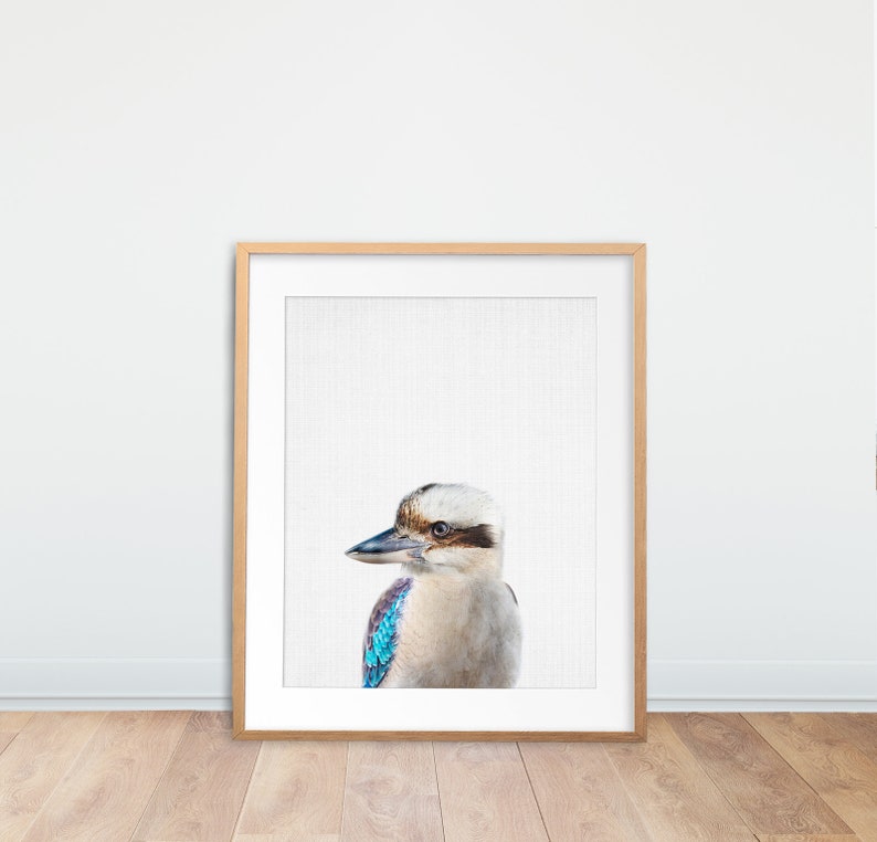 Kookaburra Print Nursery Wall Art Kookaburra Bird Poster Etsy