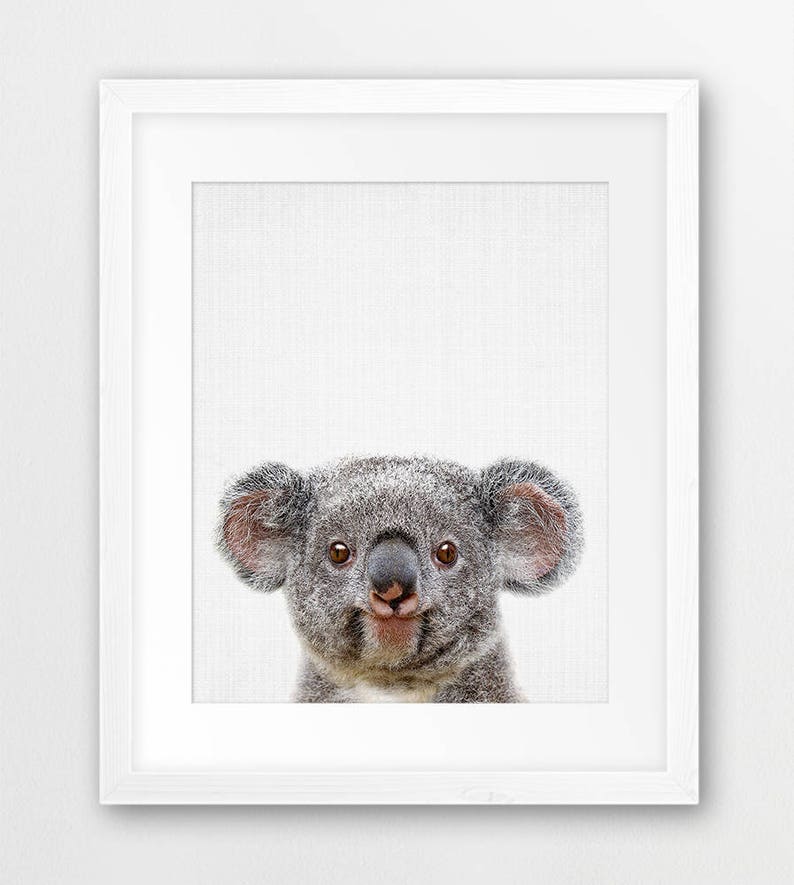 Koala Print Nursery Wall Art Kids Room Decor Koala Bear | Etsy