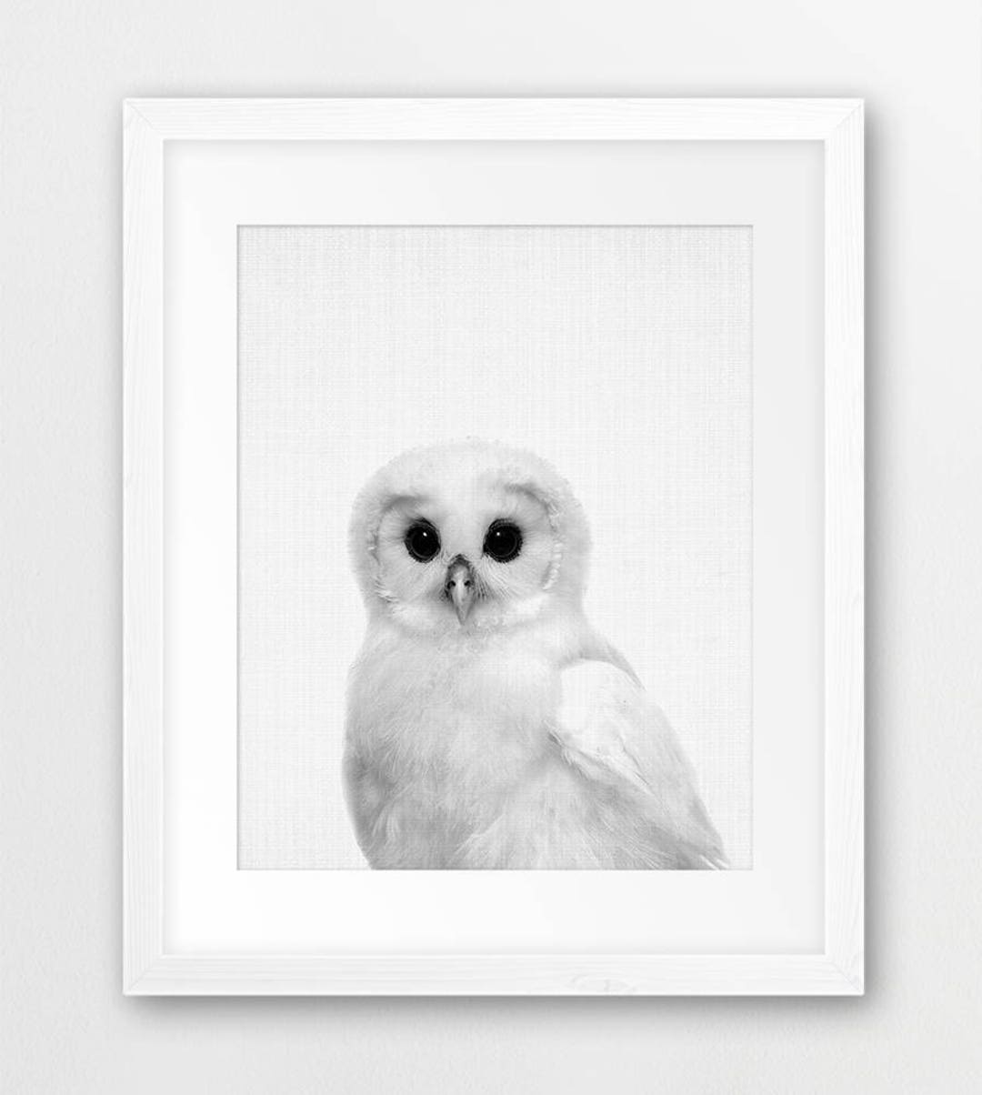 White Baby Owl Nursery Wall Black and White Woodland - Etsy