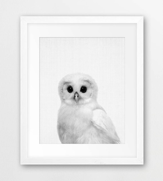 White Baby Owl, Nursery Wall Art, Black and White Woodland Nursery