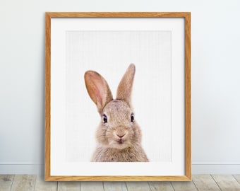 Rabbit Print, Nursery Animal Wall Art, Woodlands Animals Print, Cute Bunny Print, Baby Animal Print, Kids Room Decor, Animal Printable Art