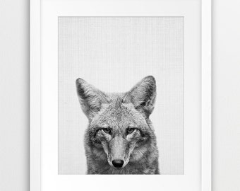 Coyote Print, Nursery Animal Wall Art, Prairie Animal Print, Kids Room Decor, Black White Photo, Wild Animal Art, Home Decor, Printable Art