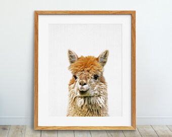 Alpaca Print, Nursery Decor, Llama Print, Nursery Wall Art, Farm Animals Print, Baby Animal Prints, Kids Room Decor, Digital Printable Art