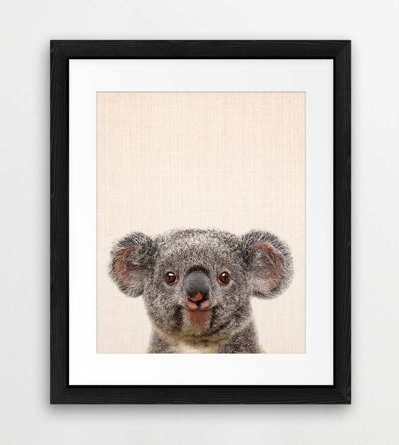 Koala Print Nursery Wall Art Kids Room Decor Koala Bear Etsy