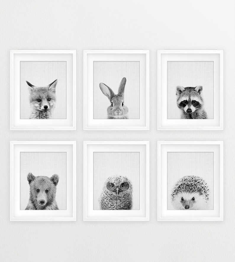 Rabbit Print, Nursery Animal Wall Art, Woodland Animals Poster, Black White Animals Prints, Bunny Print, Kids Room Decor, Digital Printable image 6