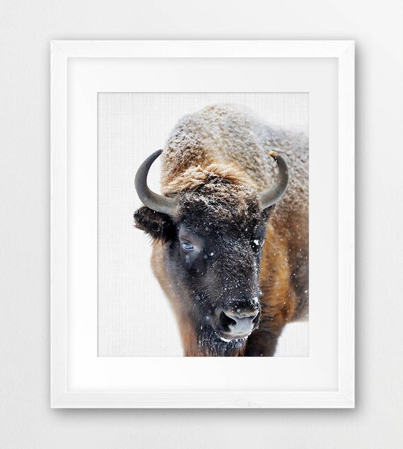 Bison Art Print Buffalo Wall Nursery Animal Snow - Nursery Buffalo Wall Decor Bison Art Print Buffalo Wall Nursery Animal Snow - Nursery Buffalo Wall Decor