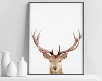 Impressão de cervos, decoração de florestas, arte de parede de animais de berçário, pôster de animais de floresta, impressão de chifres, decoração de casa, decoração de quarto infantil, arte para impressão