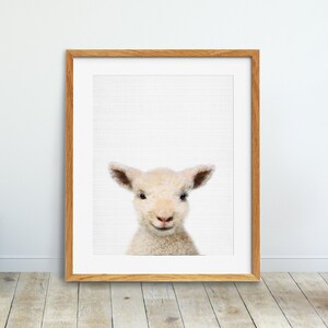 Lamb Print, Nursery Animal Wall Art, Farm Animal Poster, Nursery Decor, Baby Animal Print, Domestic Animals, Kids Room Decor Printable Art