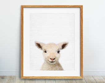 Lamb Print, Nursery Animal Wall Art, Farm Animal Poster, Nursery Decor, Baby Animal Print, Domestic Animals, Kids Room Decor Printable Art