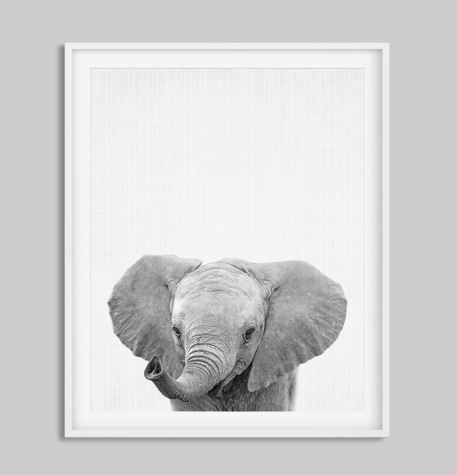 Elephant Print Baby Animals Wall Art Safari African Animal | Etsy
